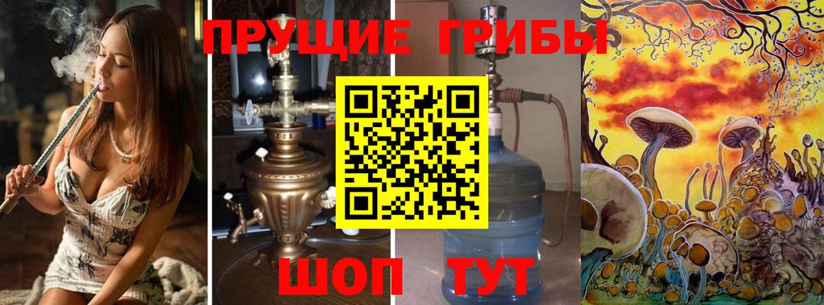 Галлюциногенные грибы GOLDEN TEACHER  Псилоцибиновые грибы мухоморы  Касимов  Вход с VPN 